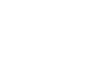 Vetcorner Logo